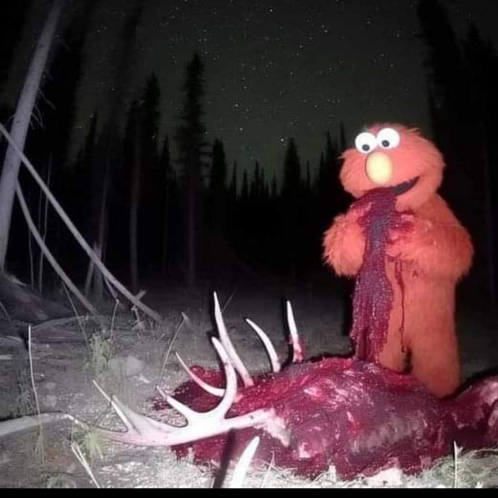 Timutzmalosh