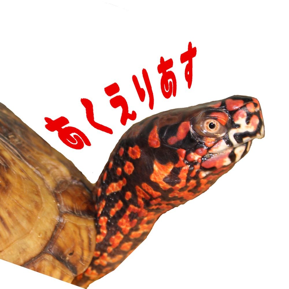 あくえりあす