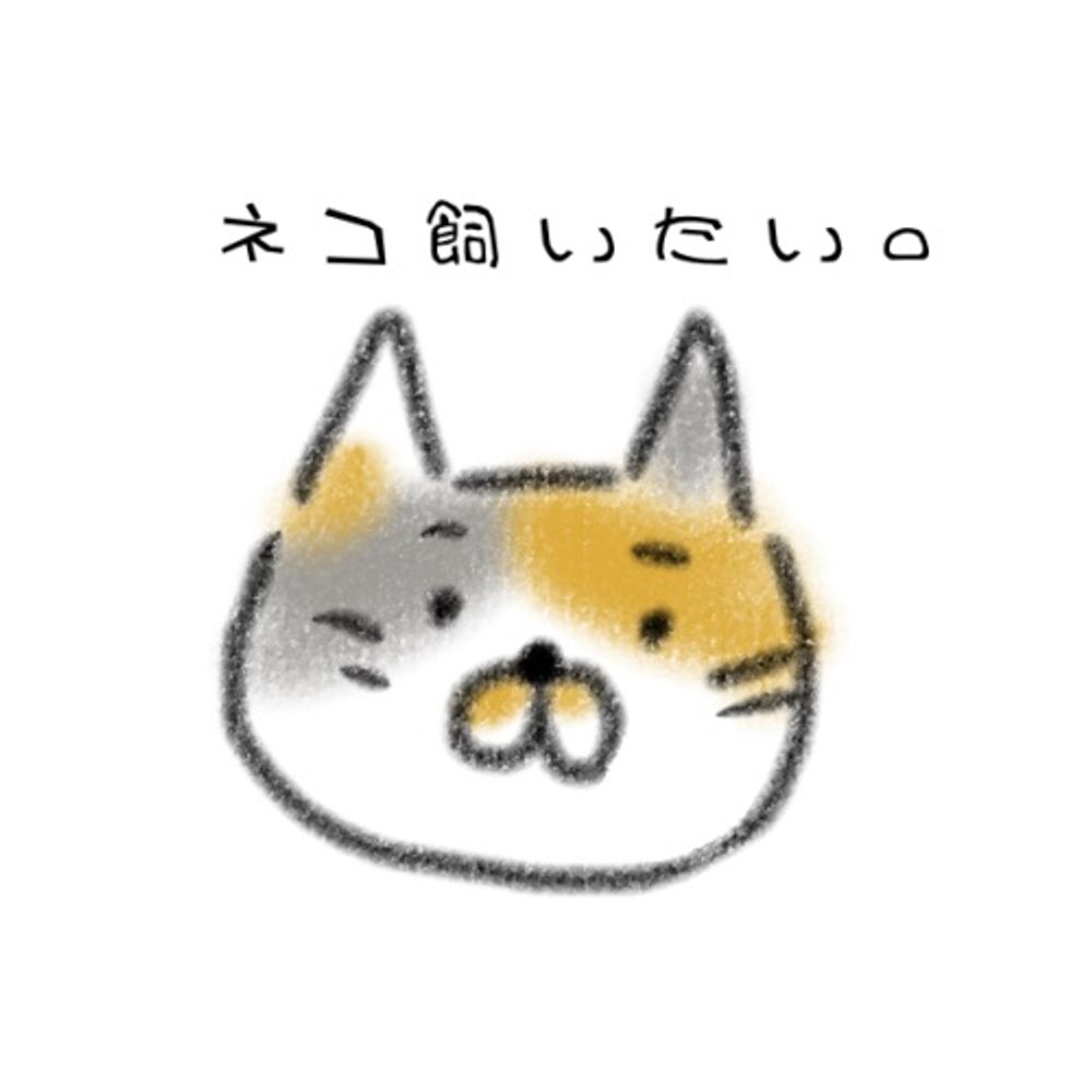 おぬこ