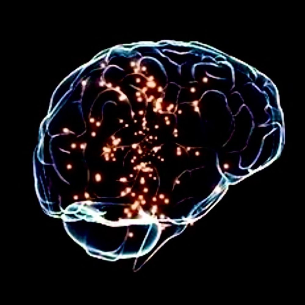 neuro.social.self
