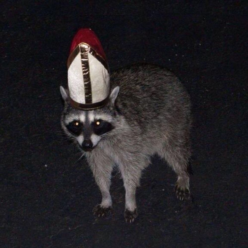 pontifex
