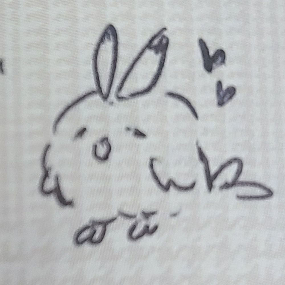 둔둔구구새