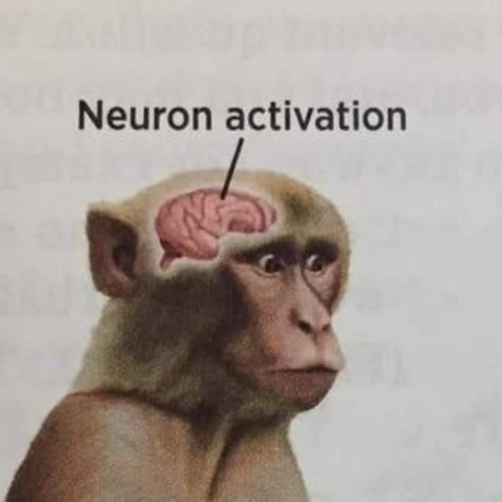 Evolutionary Blunder