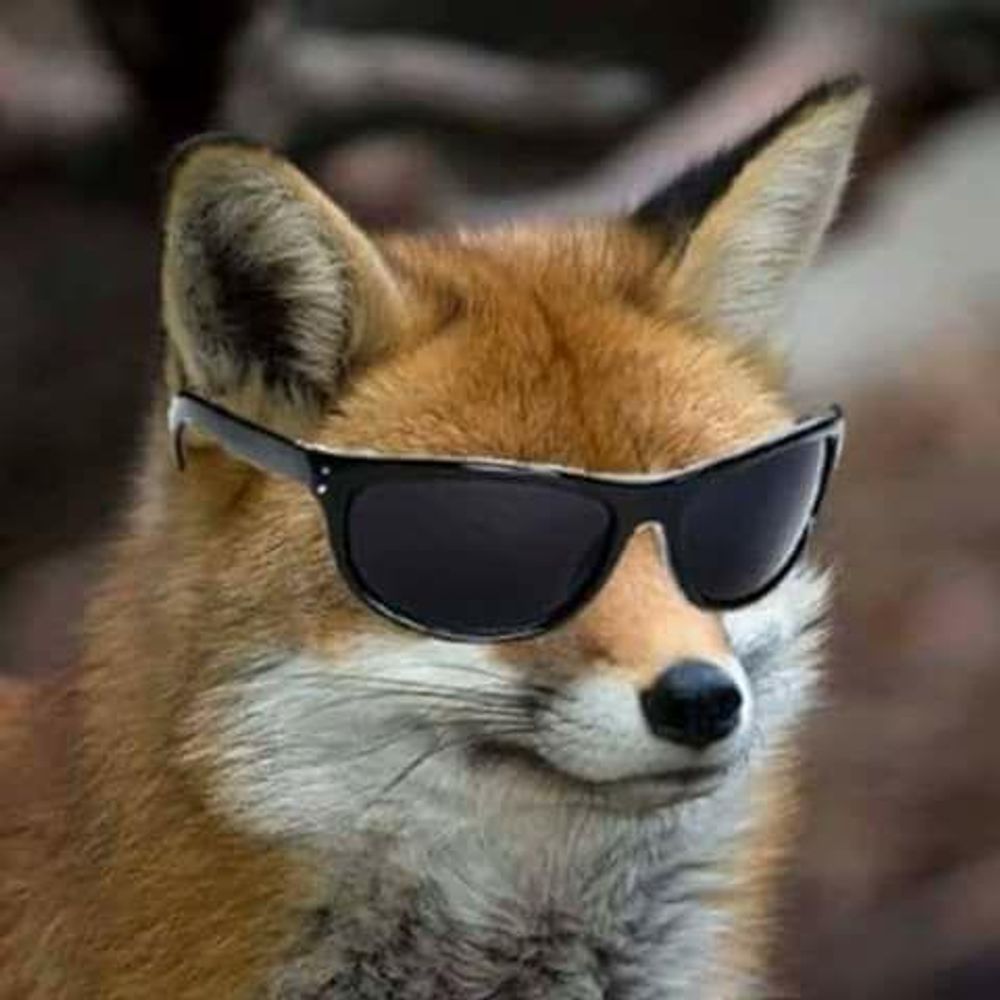 Vulpes