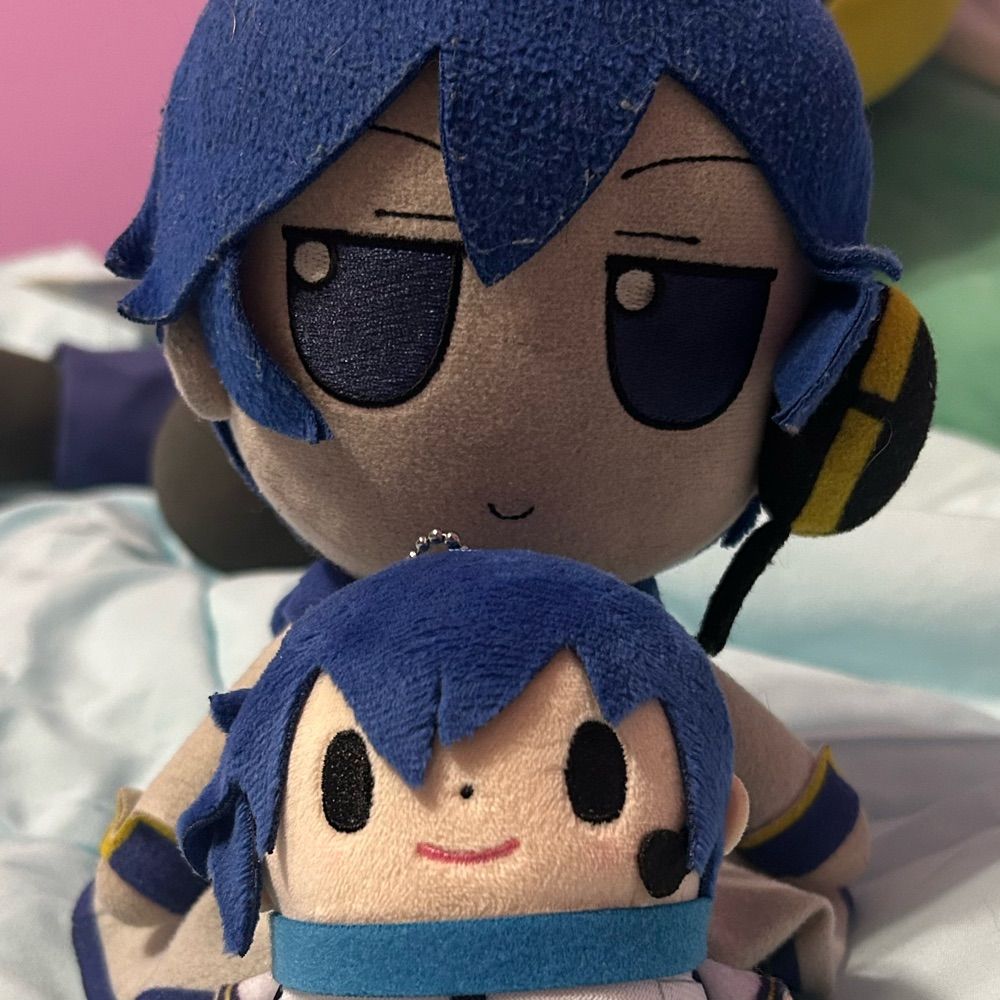 Kaito Word of the Day