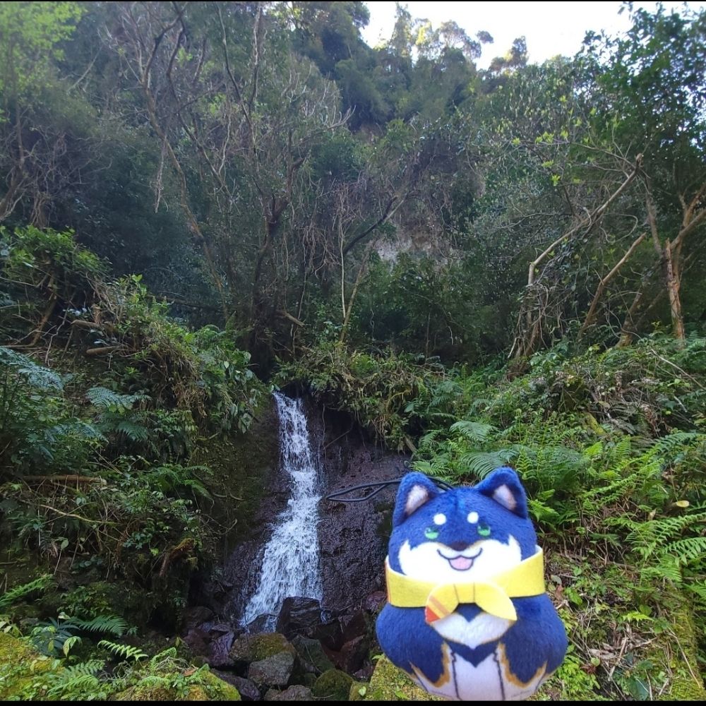 マハト