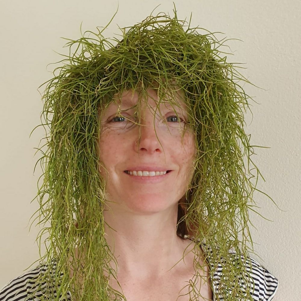 Monika Hutter