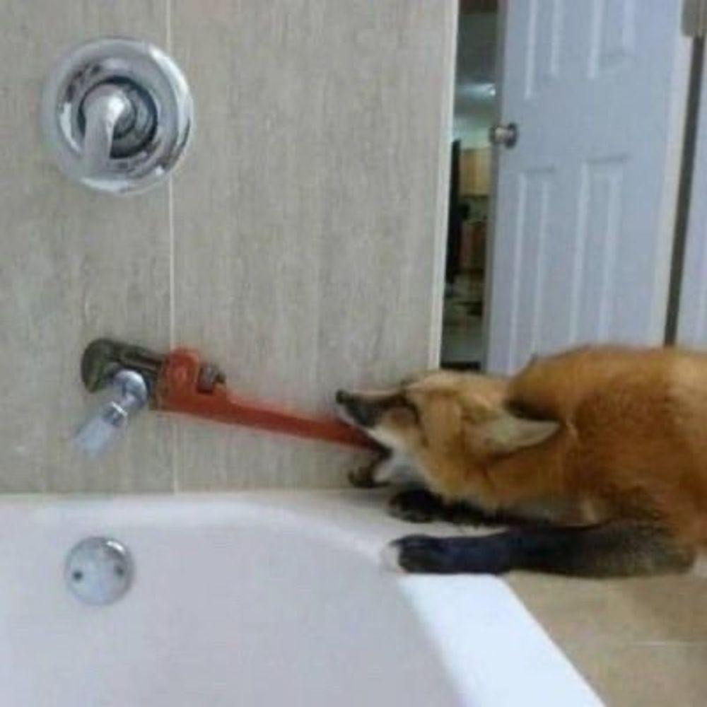 Reynard the Faux