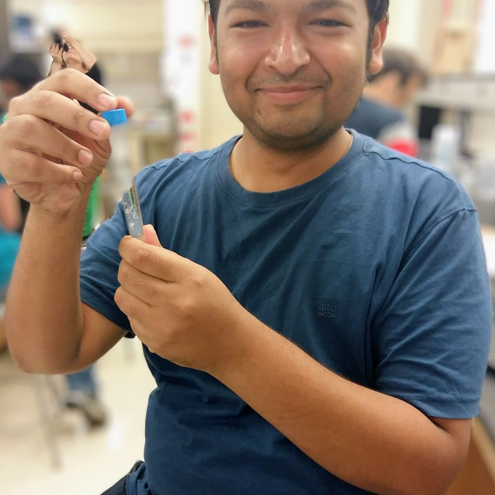 Koushik