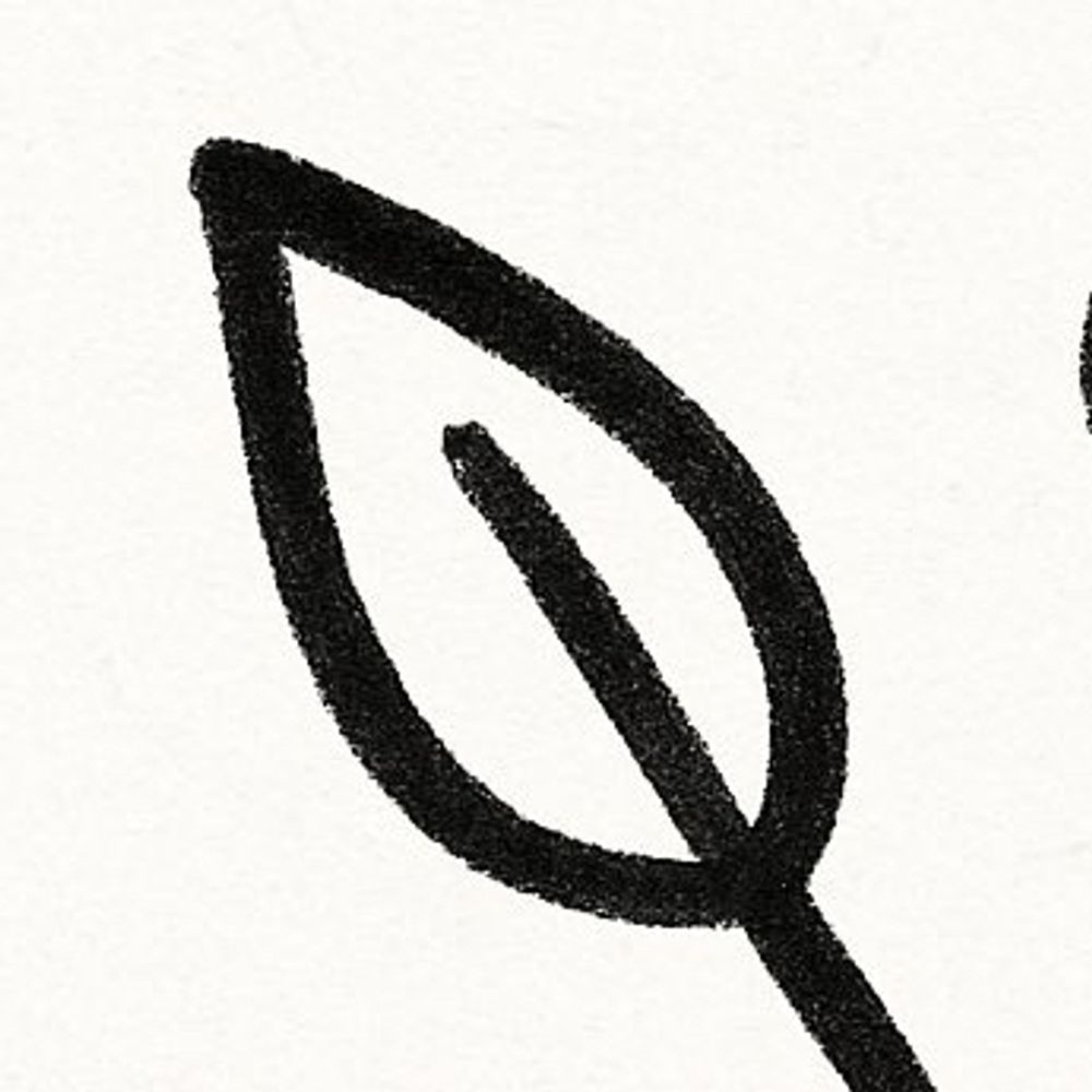 Sak/ 砂穹とむ