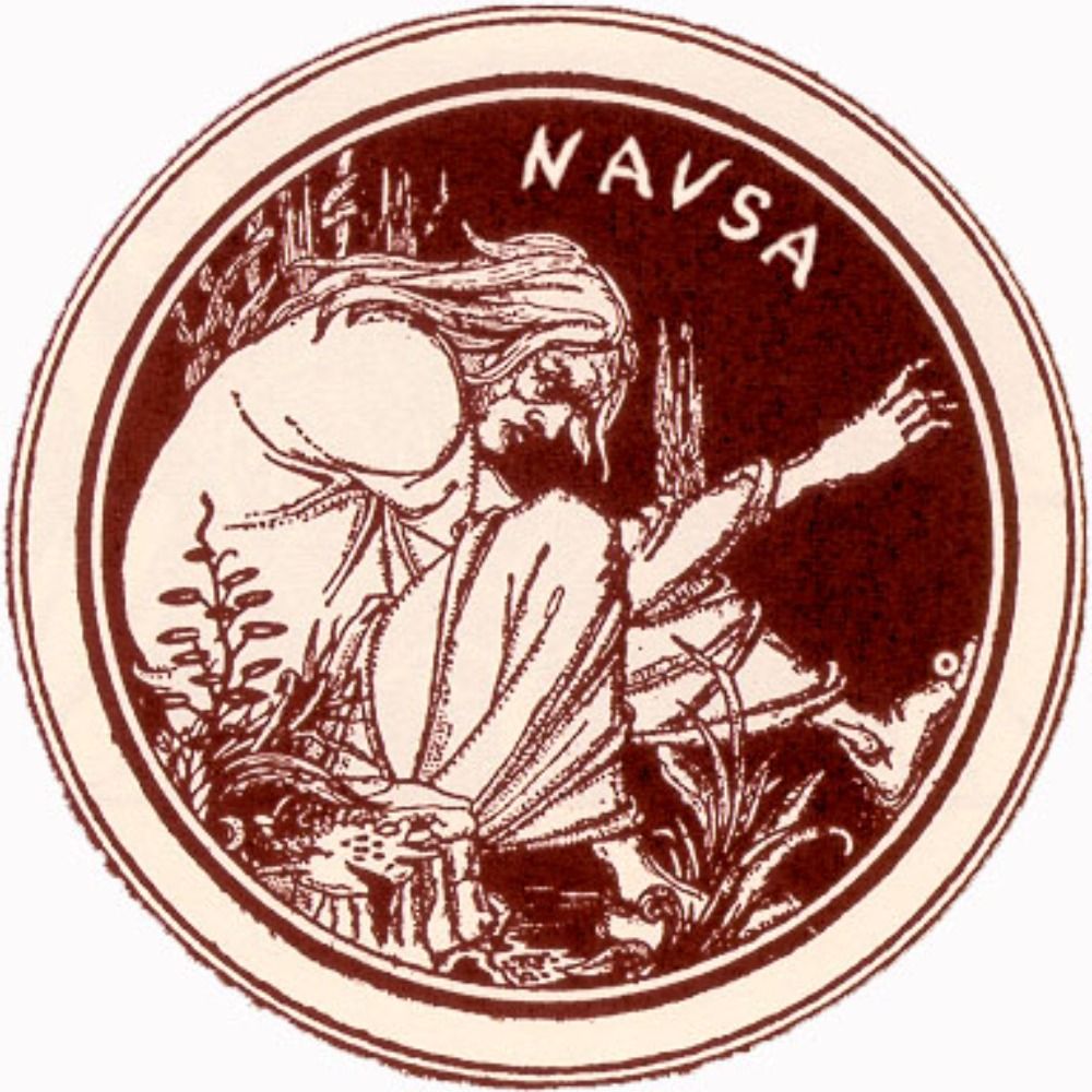 NAVSA