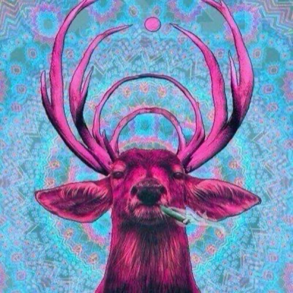 ⛧⚛️ Queer Deer 🍄🫠