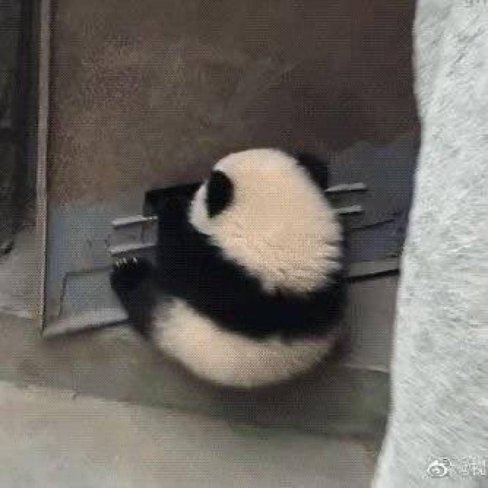 `°มูแจ้มเม๊วε.°