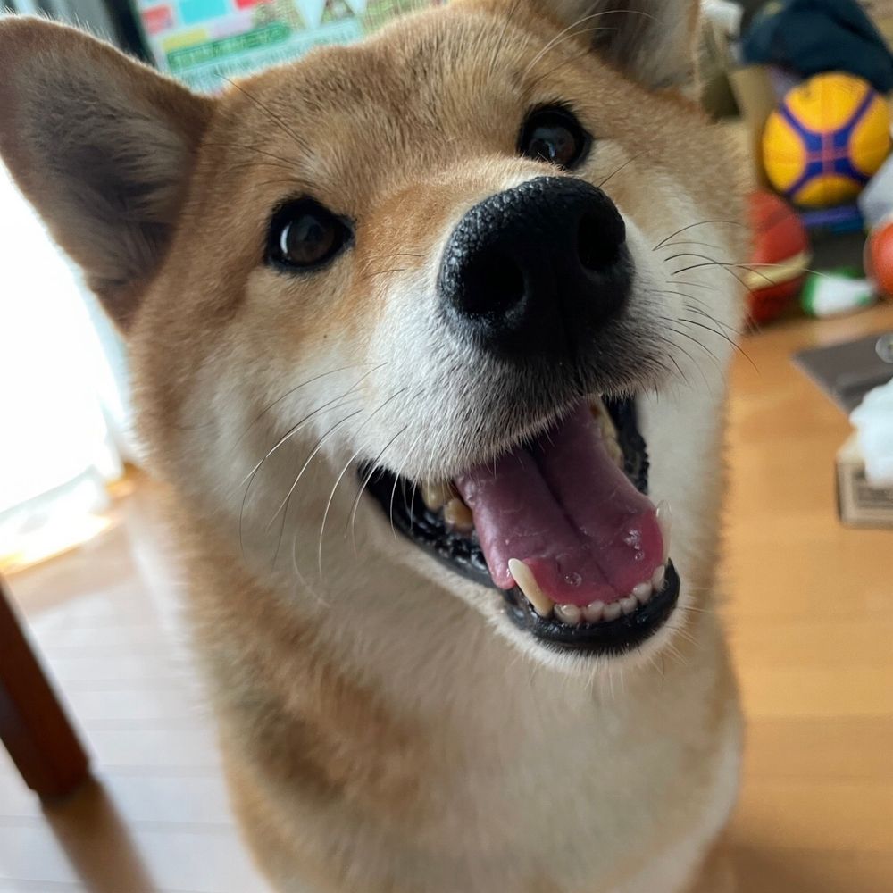 なかはらぁぁ
