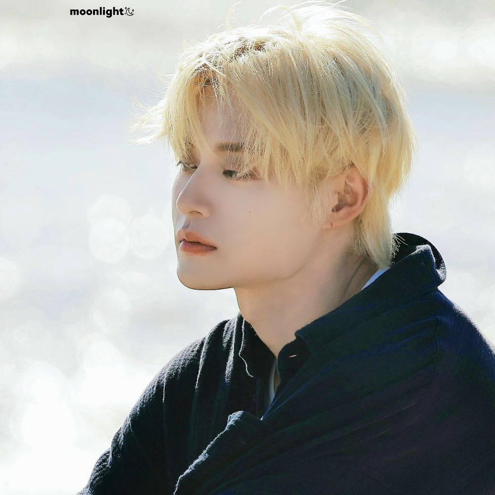 꽃잎새