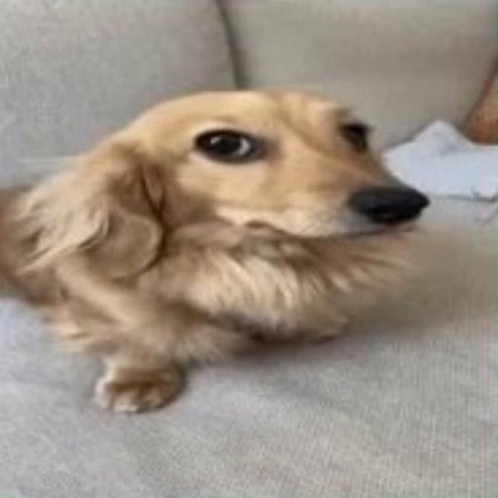 santos 