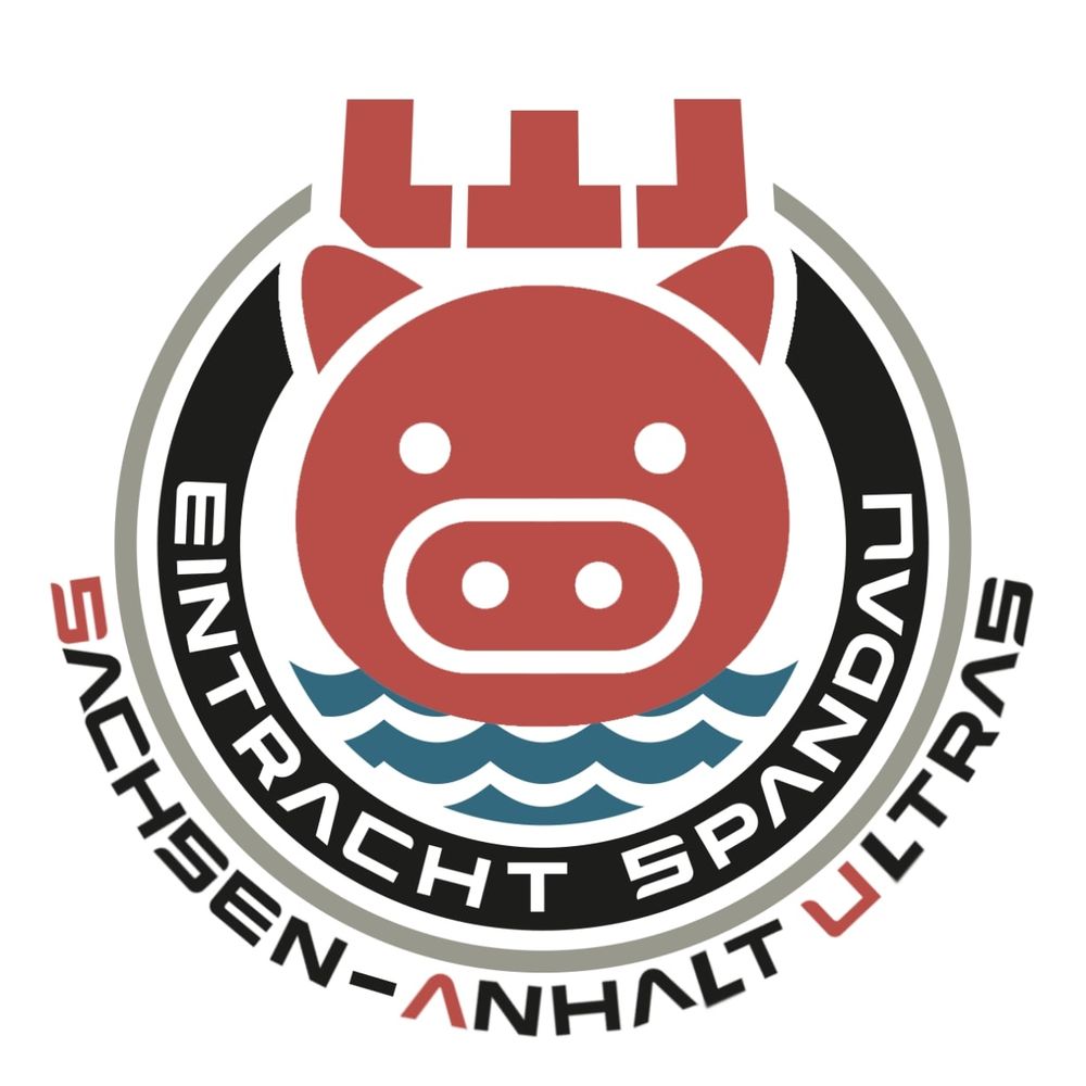 🌈EINS | Sachsen-Anhalt Ultras 🖤💙❤️