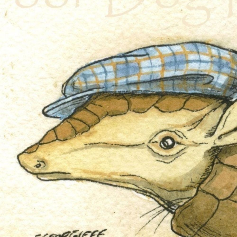 Dapper Armadillo