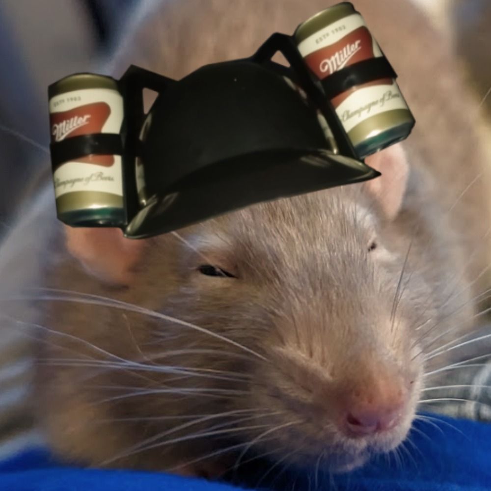 rat tugnutt's avatar