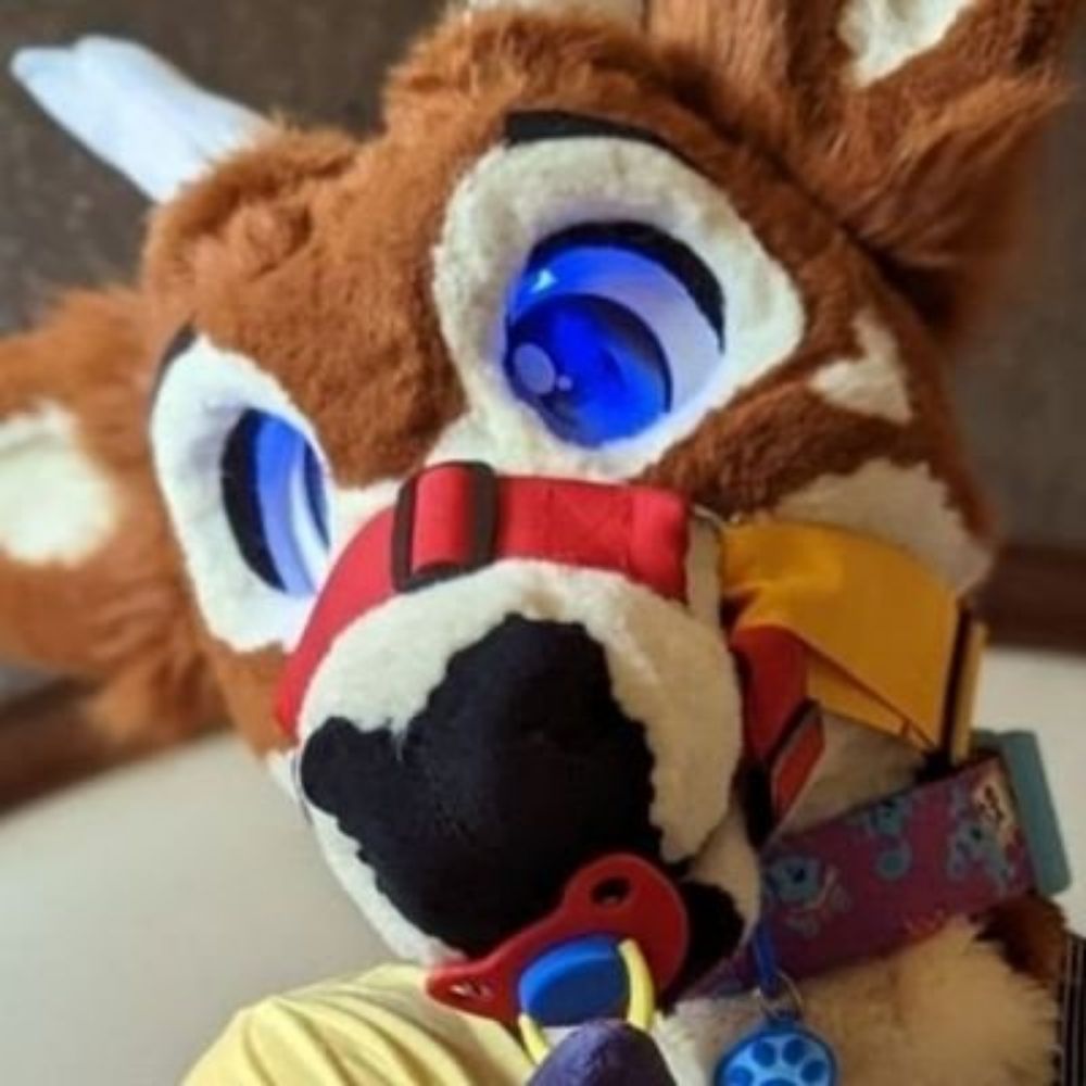 LanierTheFawn @ FWA