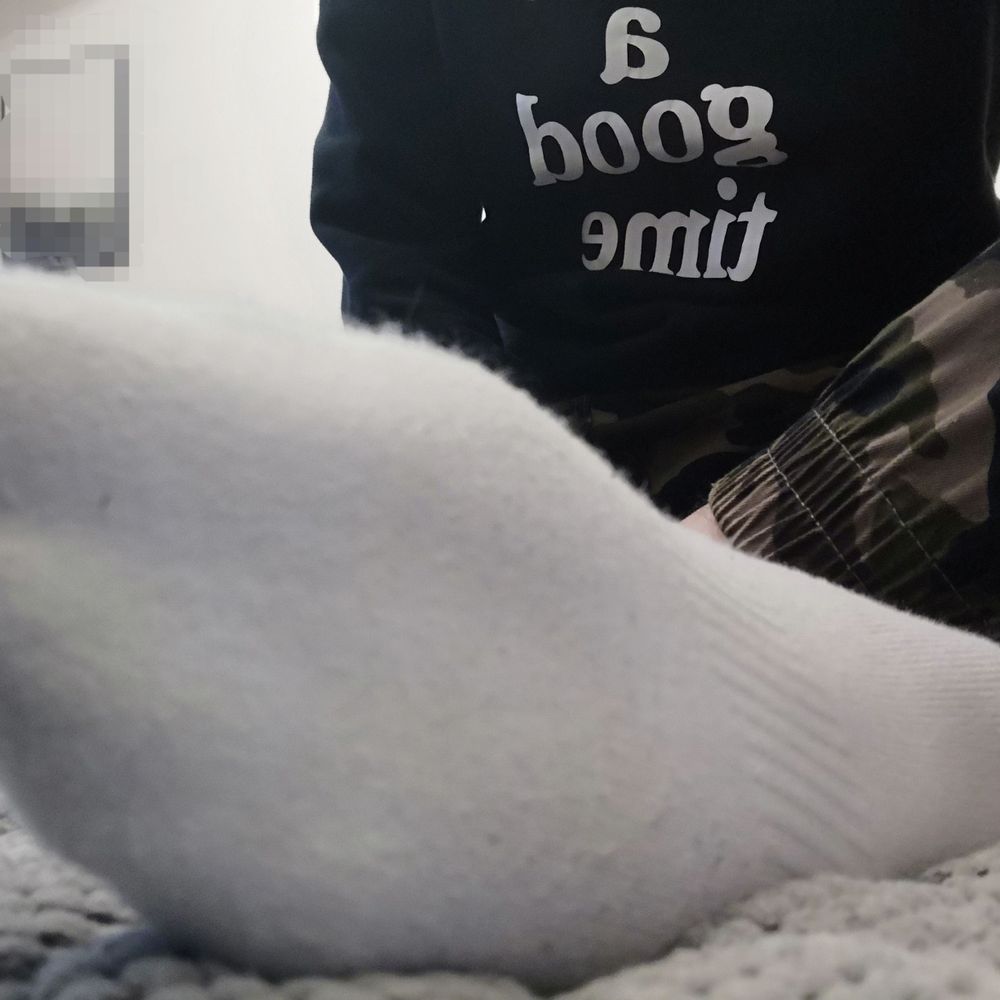 派对动物