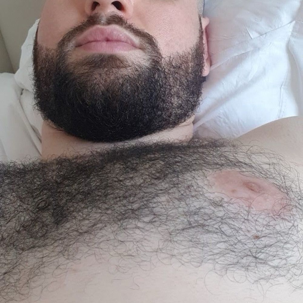 Urso Safado SP 🧸😈