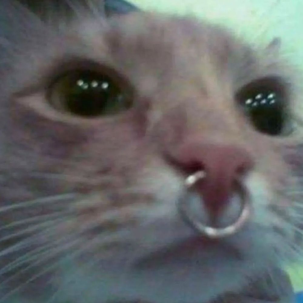 acey