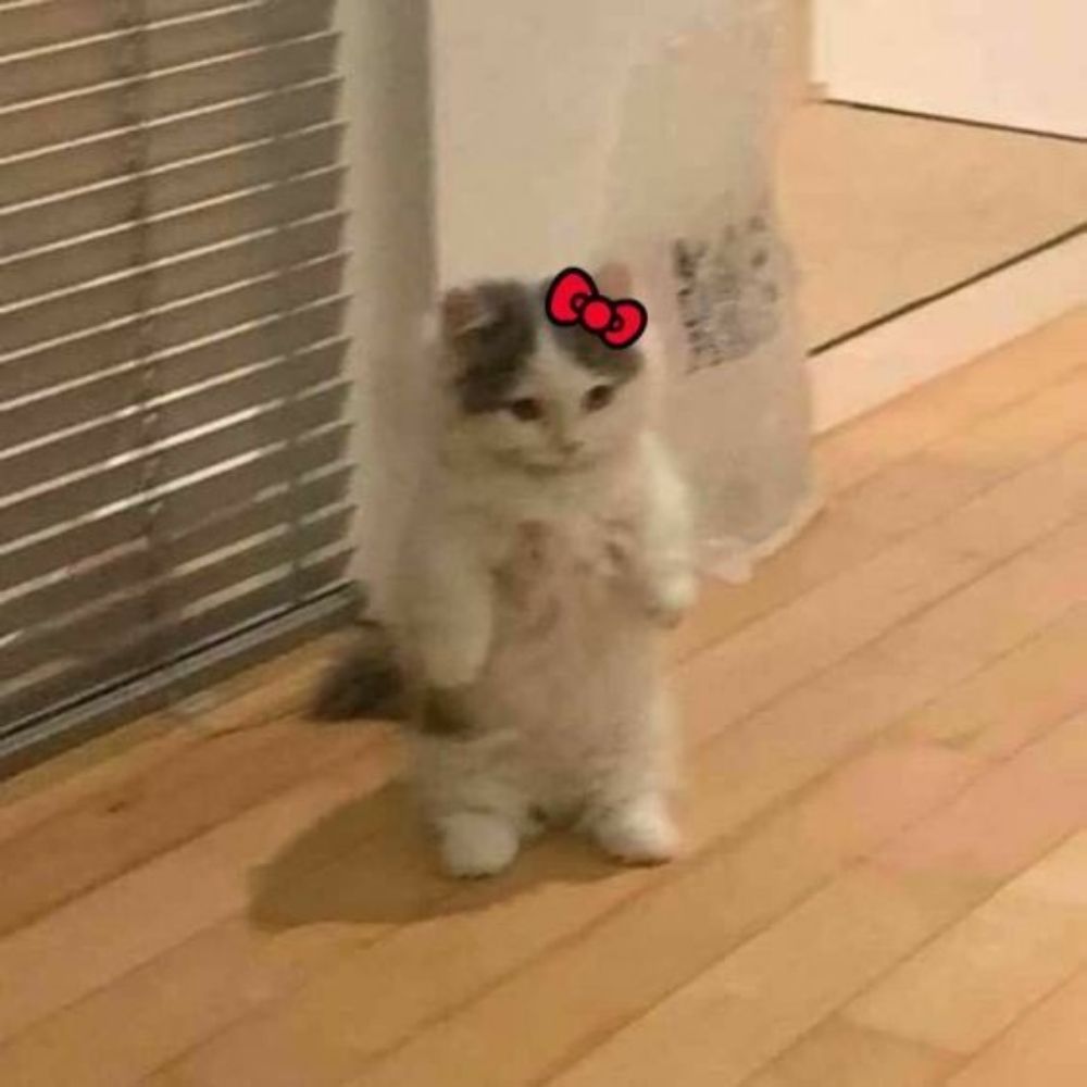 IK4_13⚢🦋