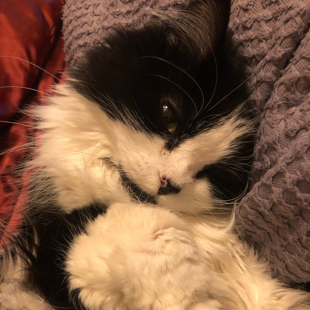 Naya 🍉