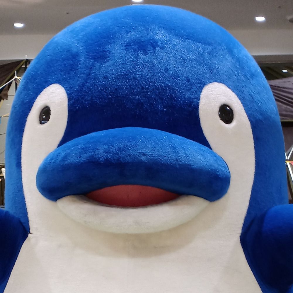 🐬