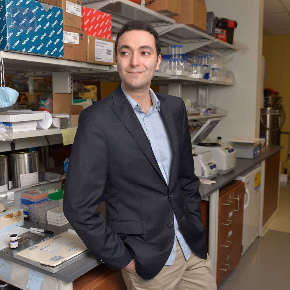 Ben-Sahra Lab