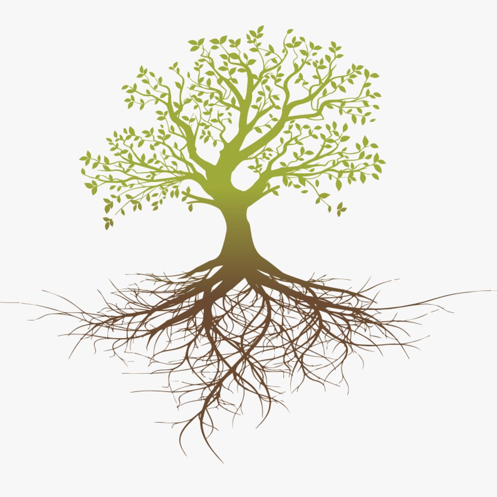 Climate Justice Advisory Network 