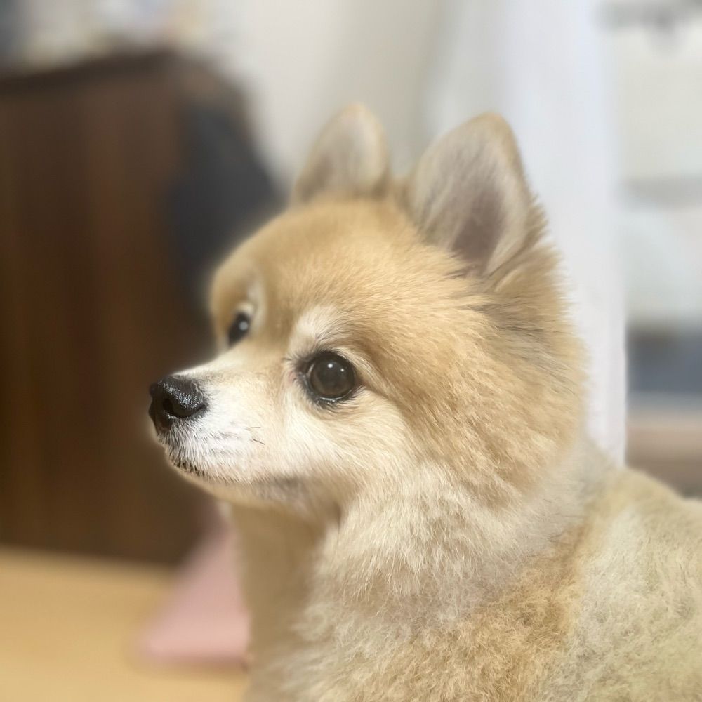 125万トゥデイ