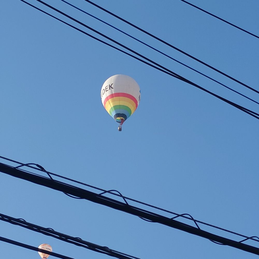 陽鞠
