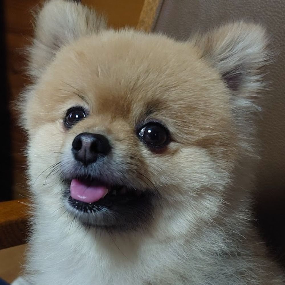そう／おるたなてぃぶ