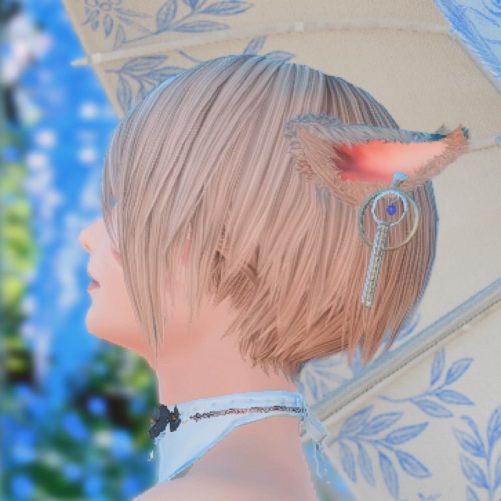 ☪︎*｡꙳