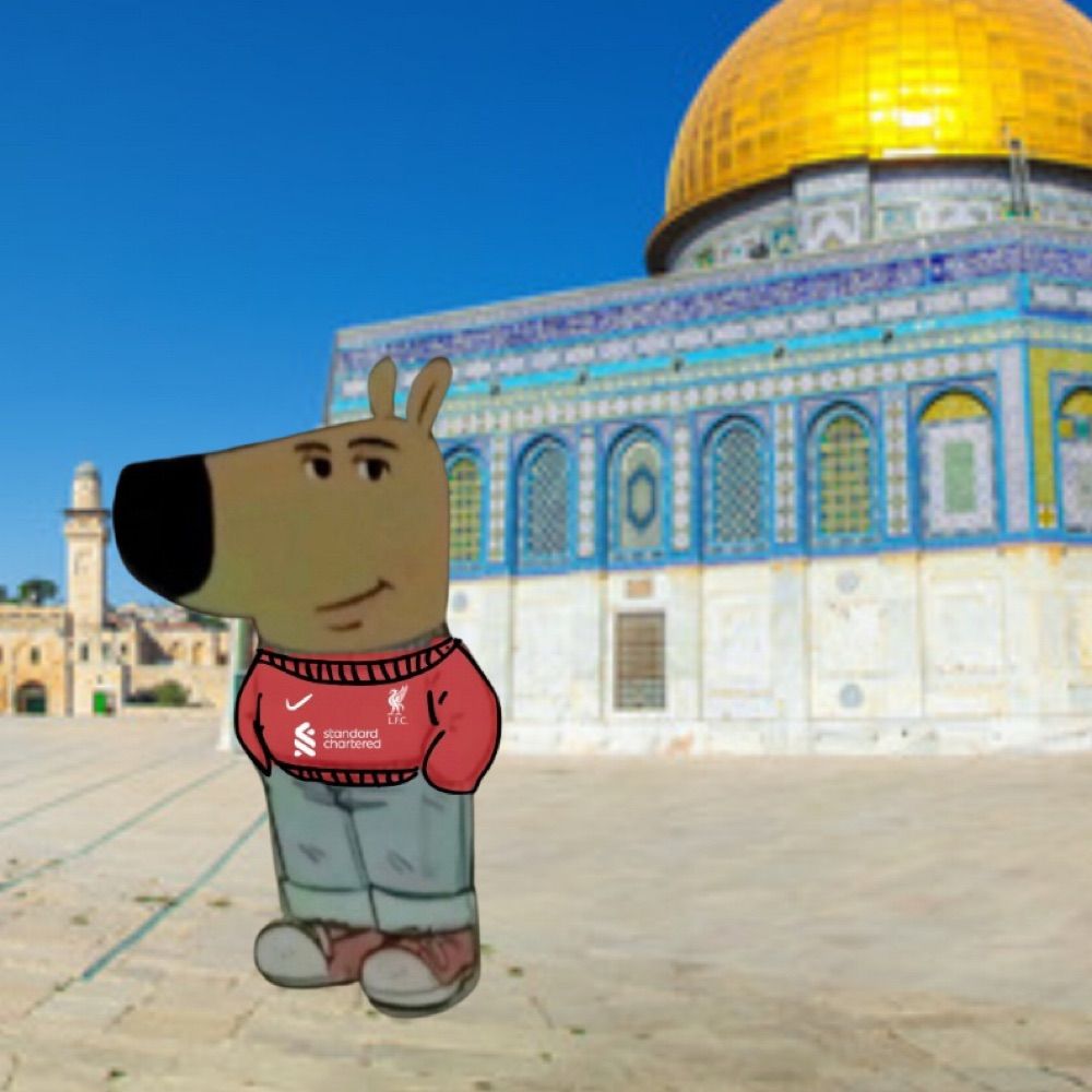 🇵🇸عمار