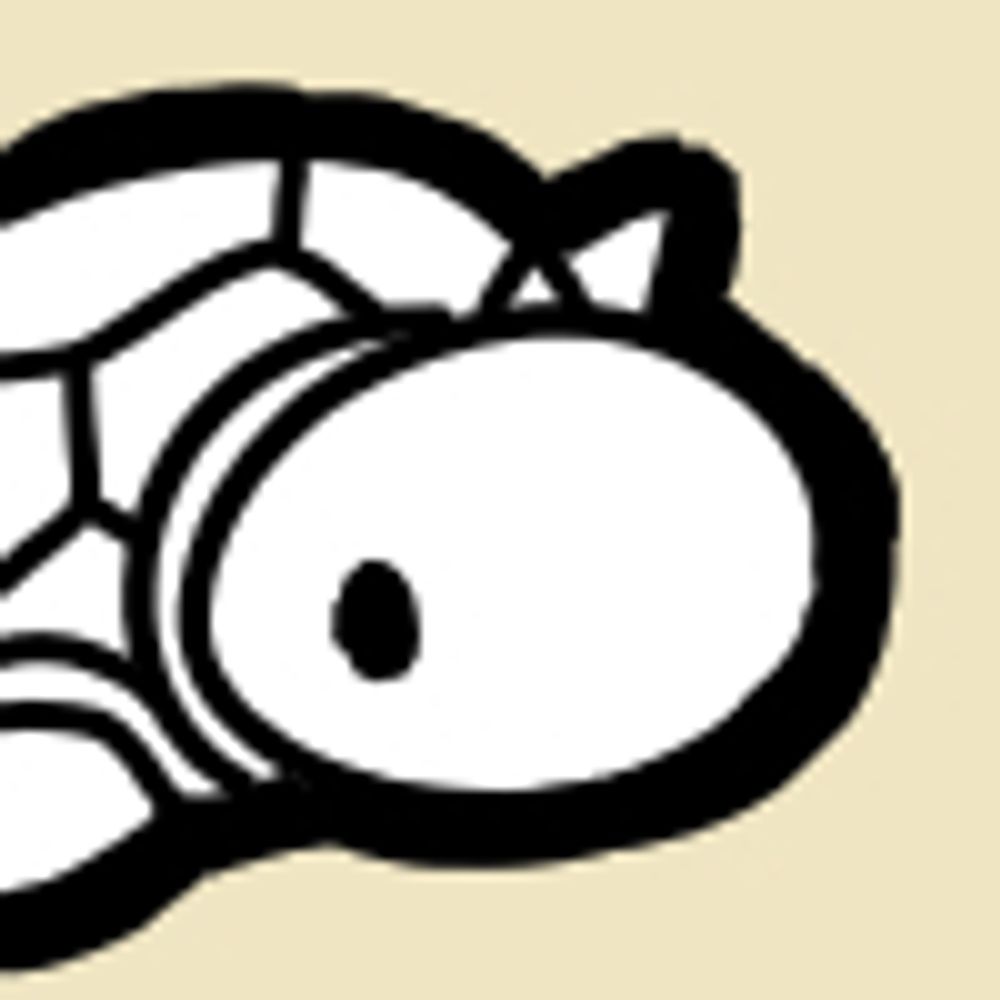 Le_Turt