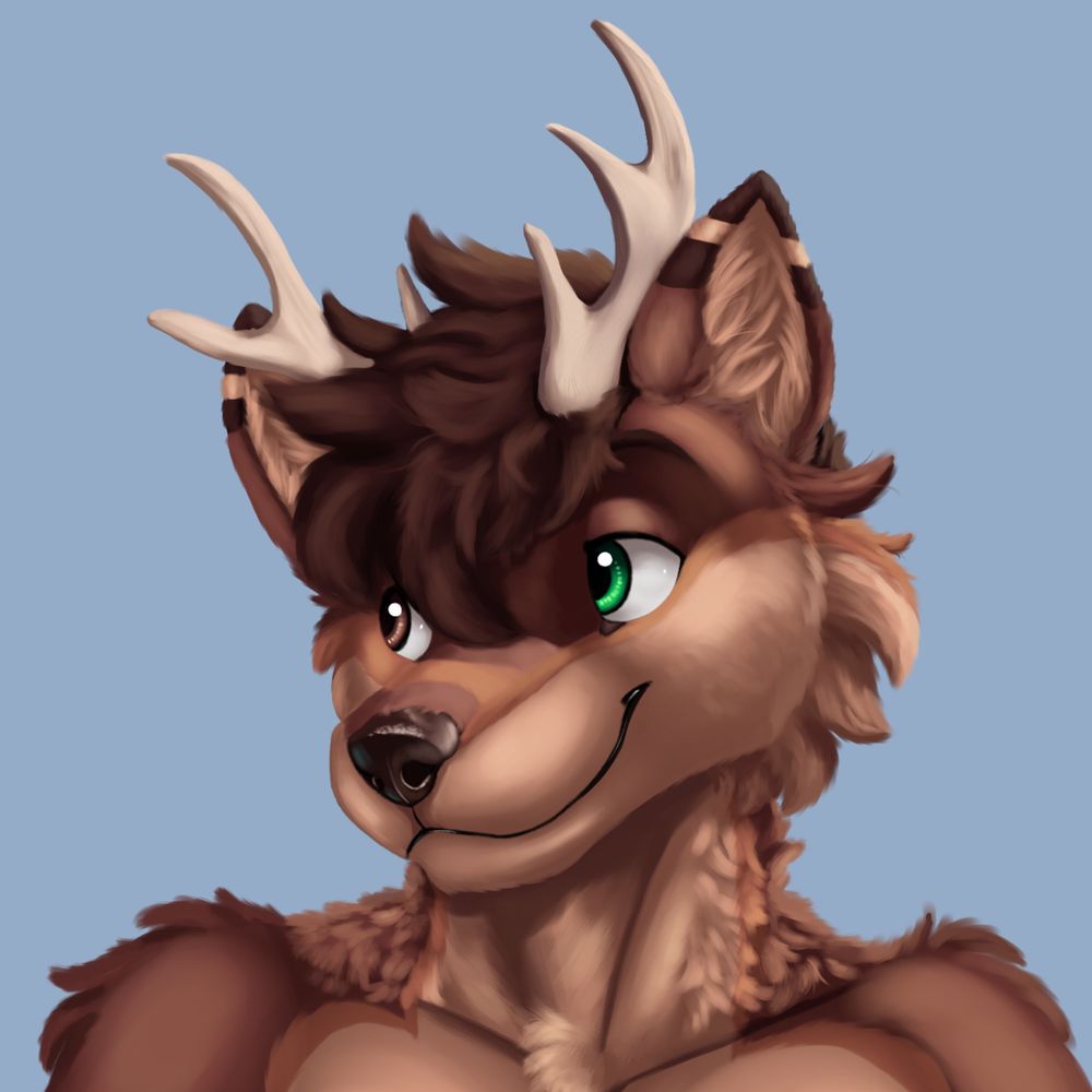 Ty Starfrute @ MFF