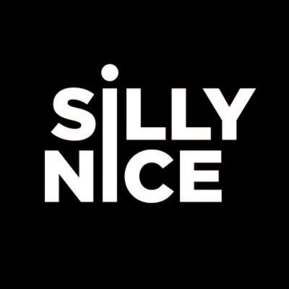 Silly Nice NYC