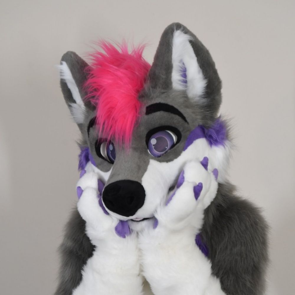 Touka Husky
