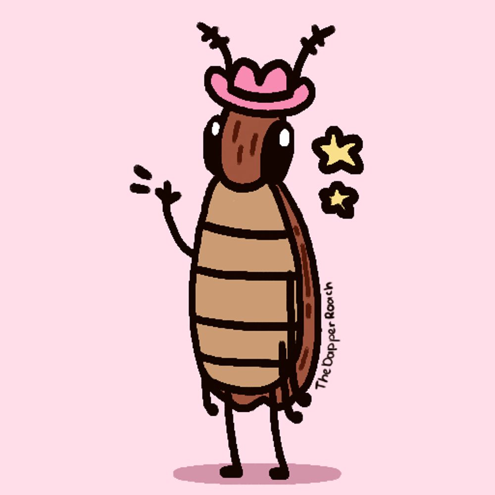 Dapper Roach - Comms Open