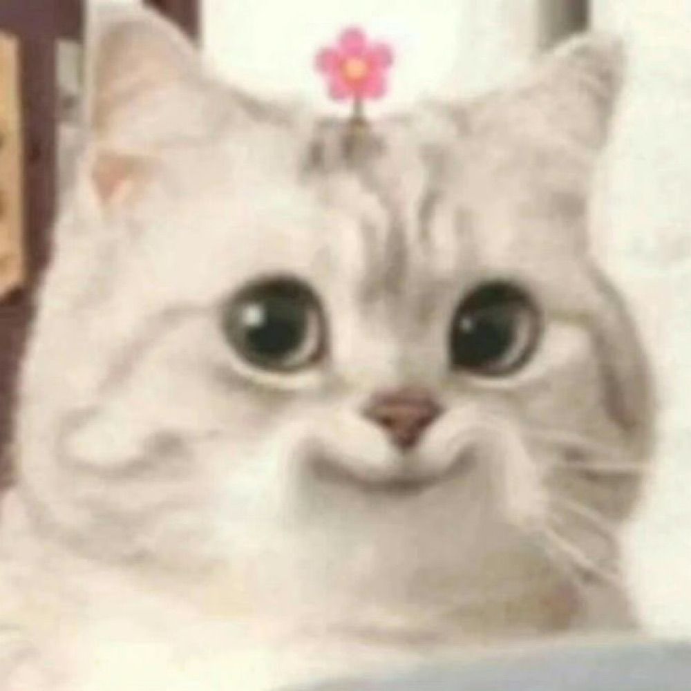 คุงชีพักชีเย้ ʕ•̫͡•ʔ