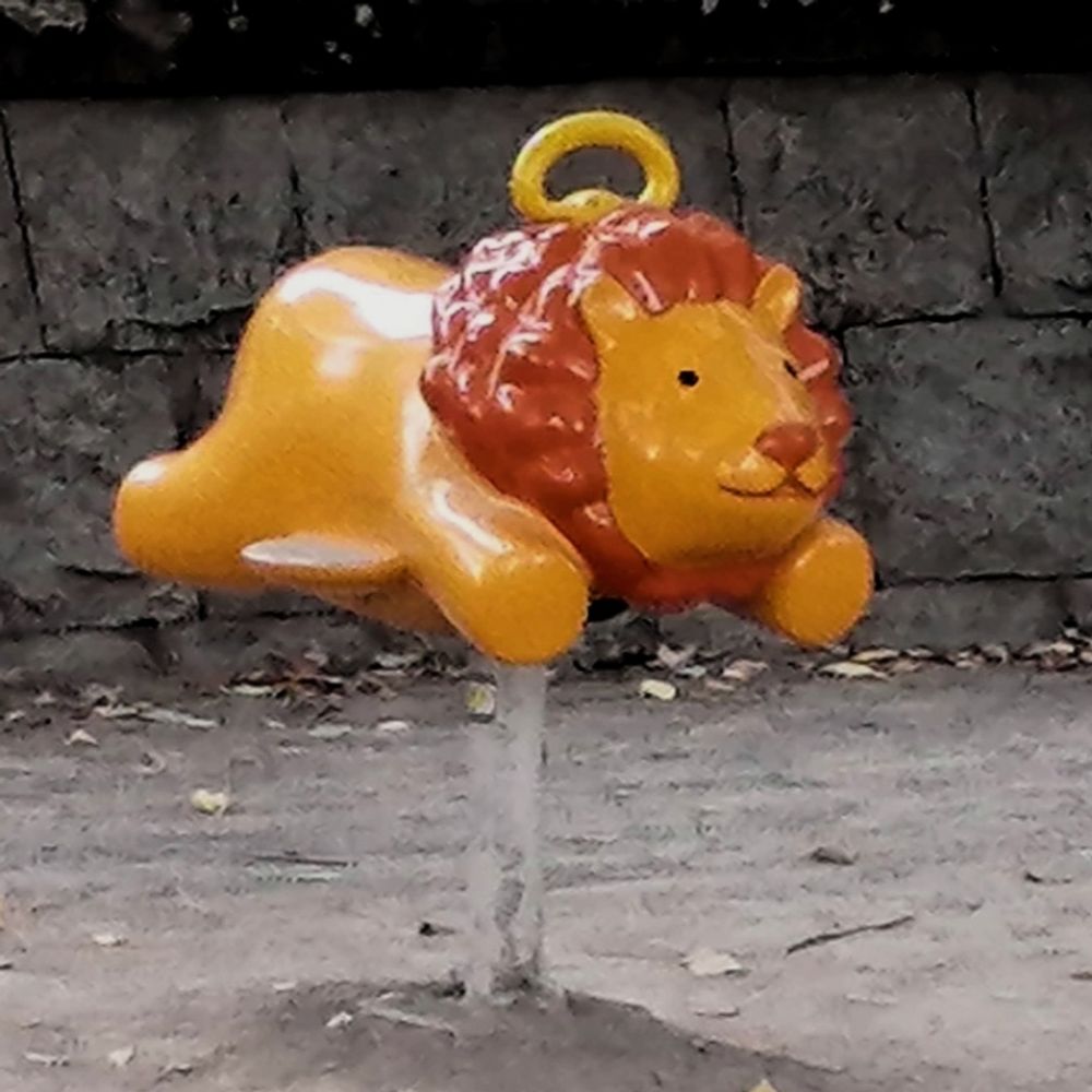 かのま