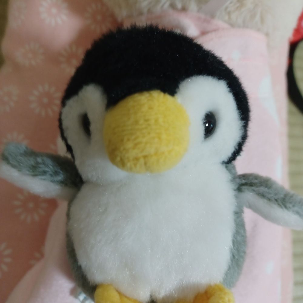 ハチワレ🐧