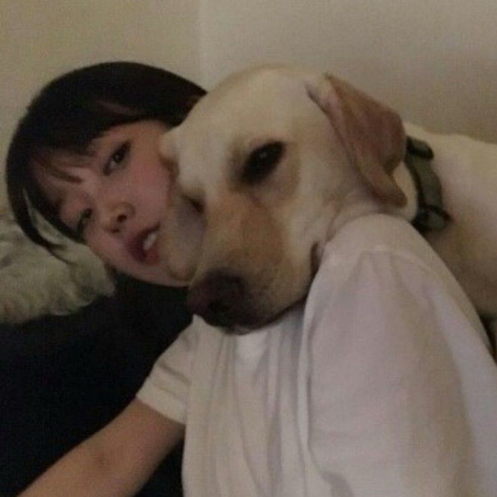 안즈