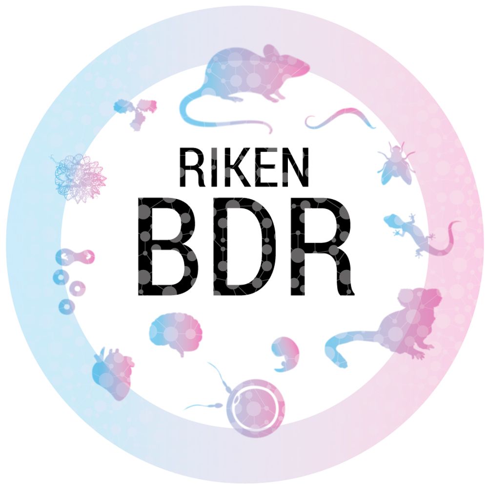 RIKEN Center for Biosystems Dynamics Research (BDR)