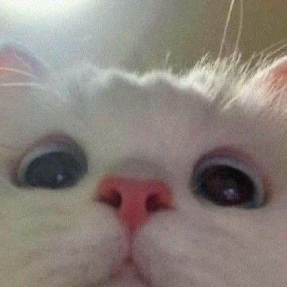 vib