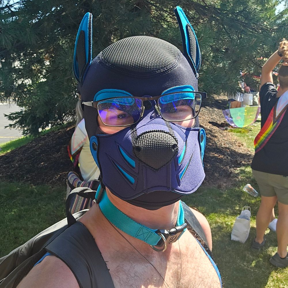 Pup Celti
