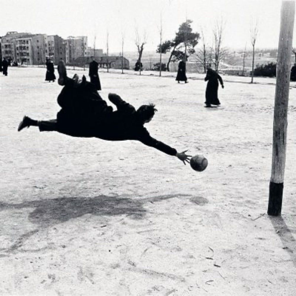 Carles Fenollosa